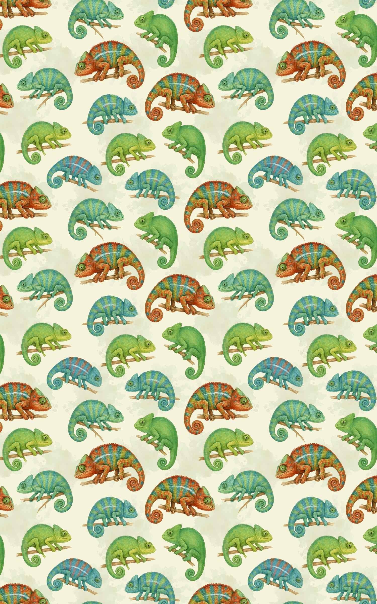 Chameleon Celebration