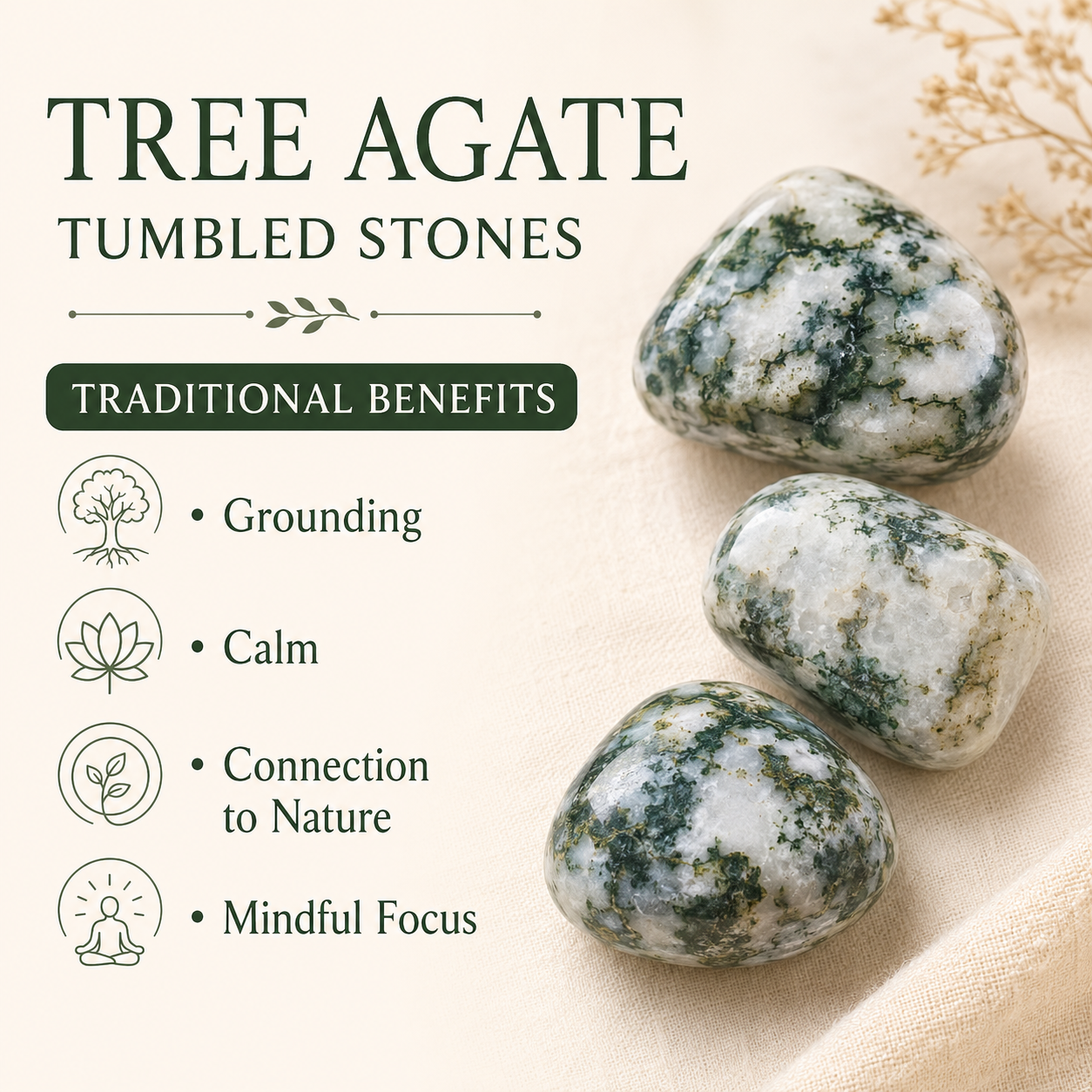 Tree Agate Tumbled Crystals (Knowledge and Trust) DestGlow