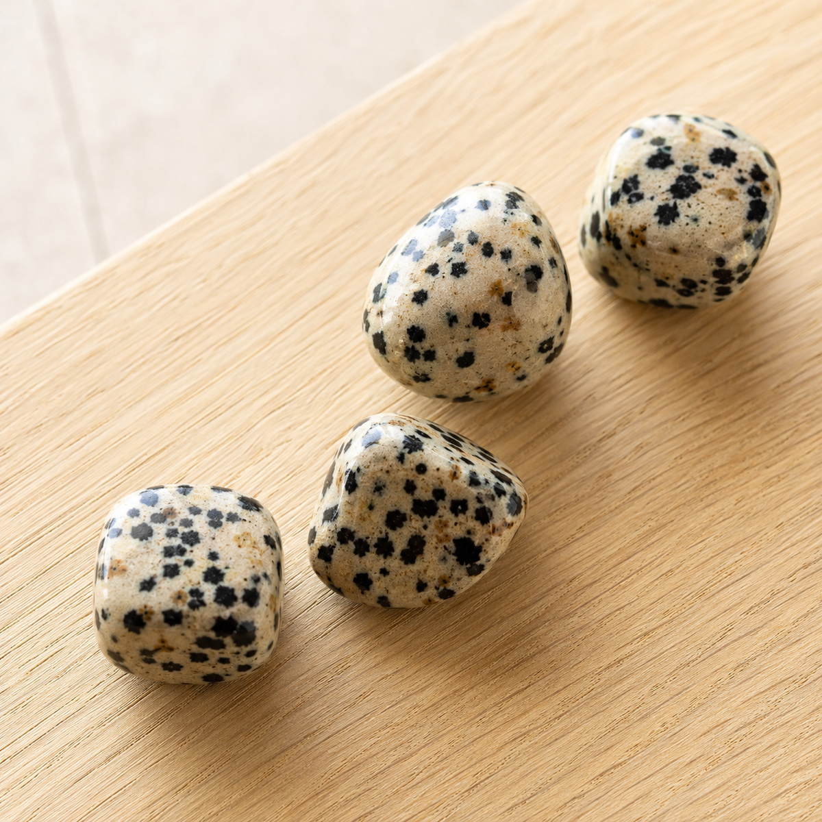 Dalmatian Jasper Tumbled Crystals (Luck And Good Fortune and Manifestation) DestGlow