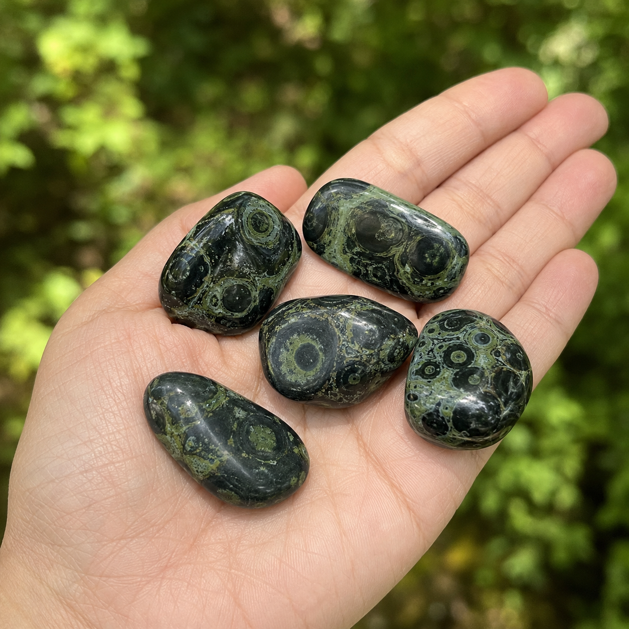 Kambaba Jasper Tumbled Crystals (Growth and Self Discovery)