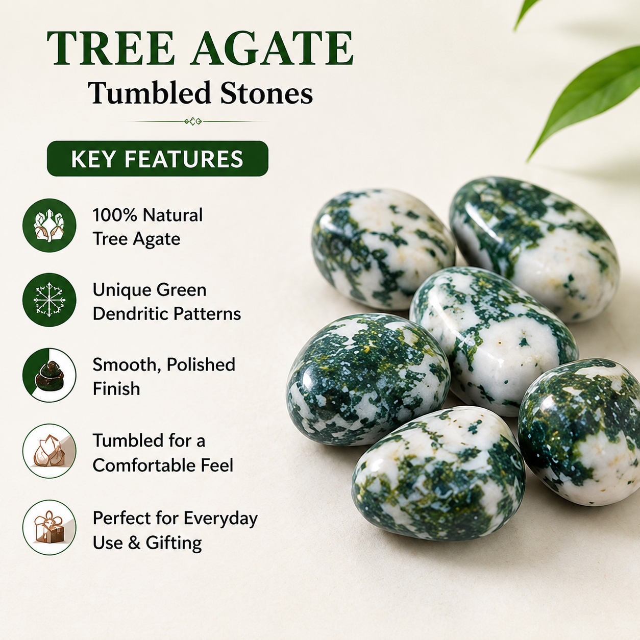 Tree Agate Tumbled Crystals (Knowledge and Trust) DestGlow