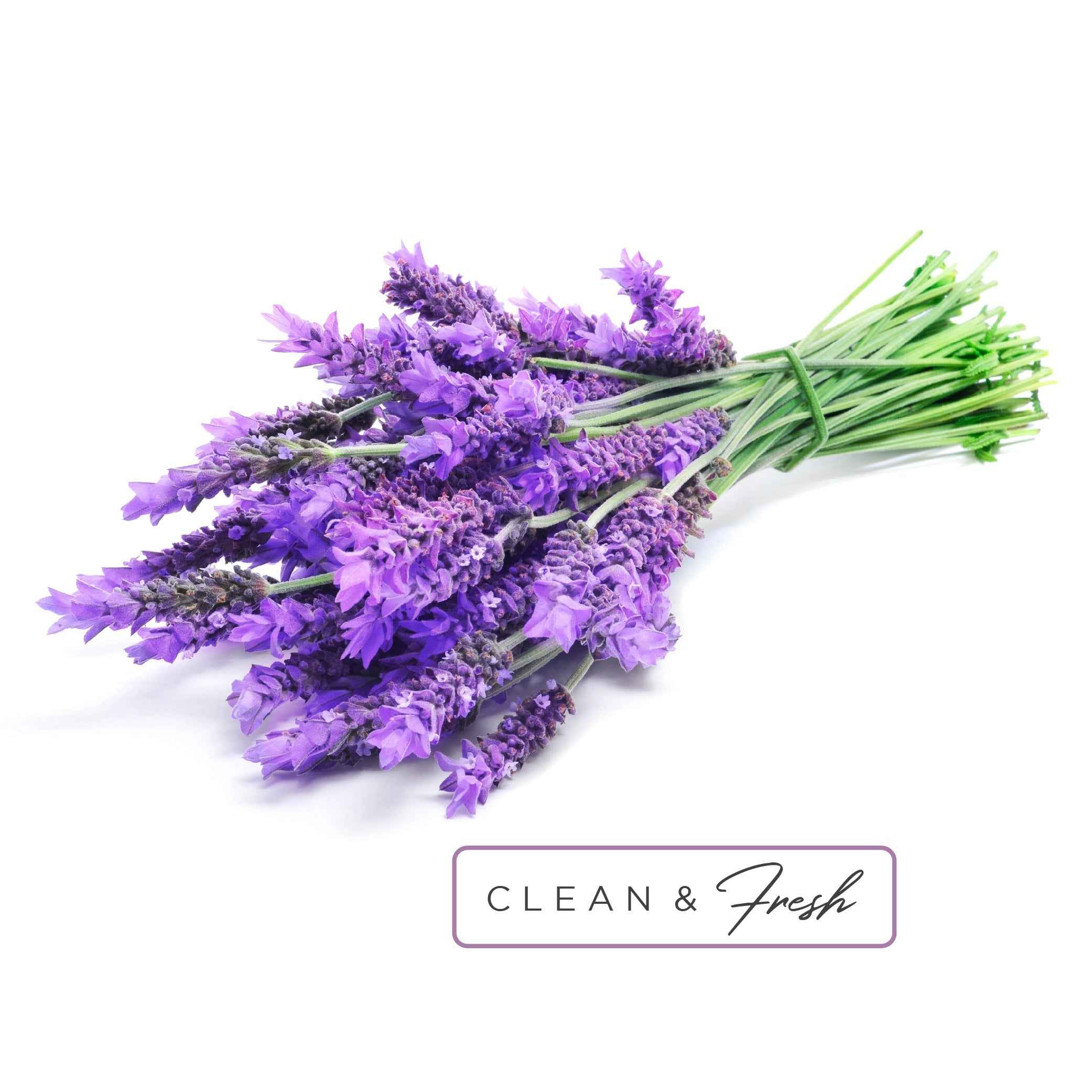 Essential Oil Roll-On in Refresh