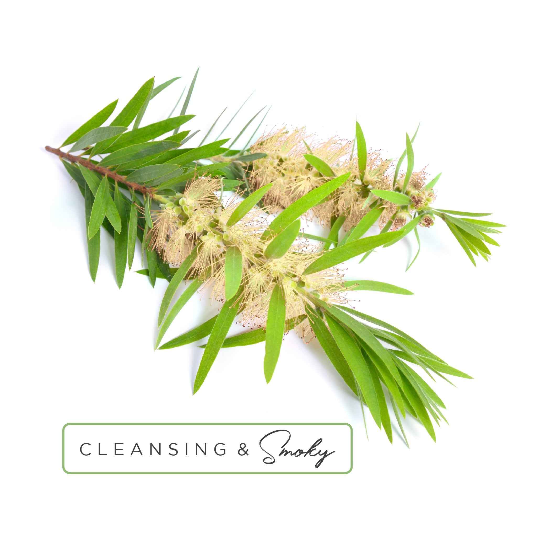 Essential Oil Roll-On in Healing