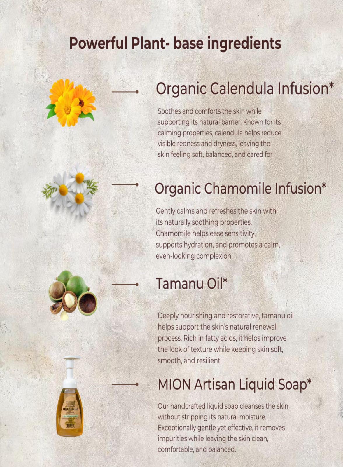 Face Wash | with Rose Hip and Tamanu Oils by MION Artisan Soap Co.