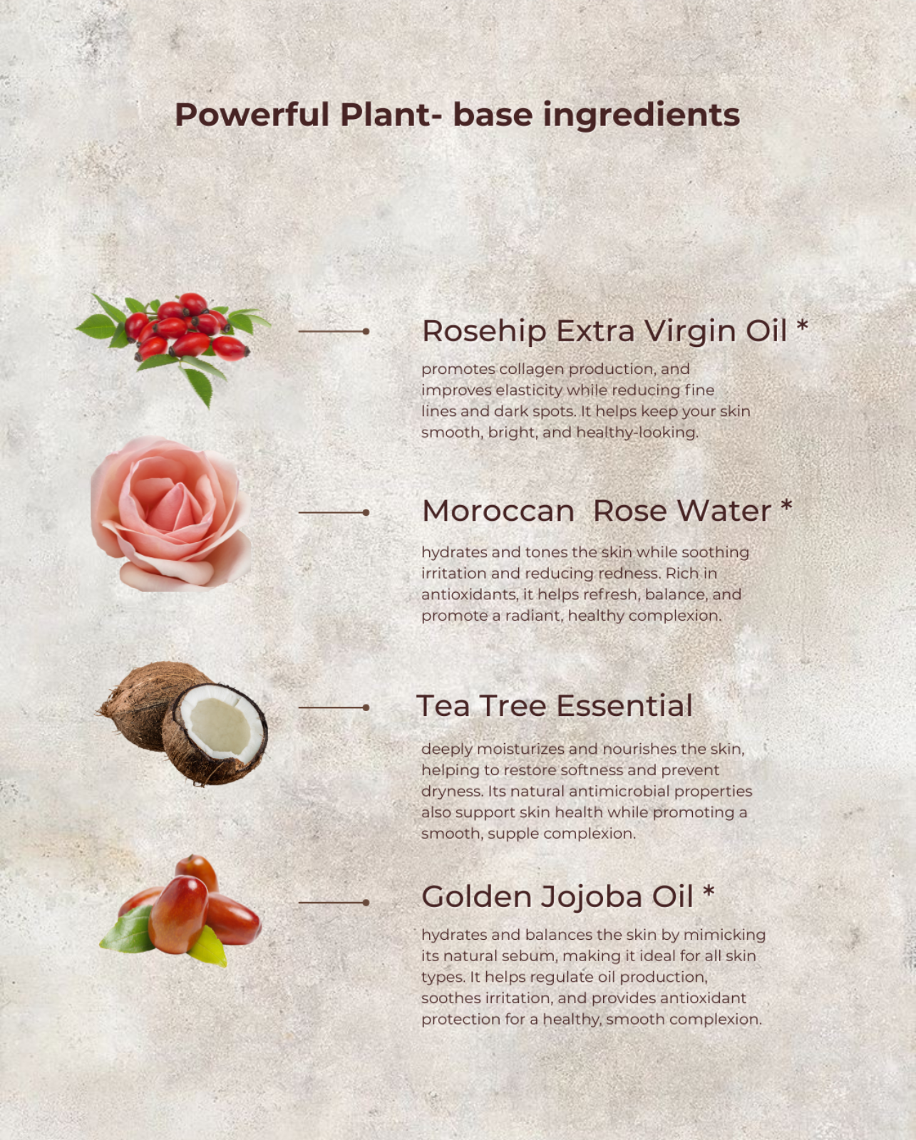 Rosehip Anti-Wrinkle Face Cream | Light Texture | Rich in Vitamins A & C by MION Artisan Soap Co.