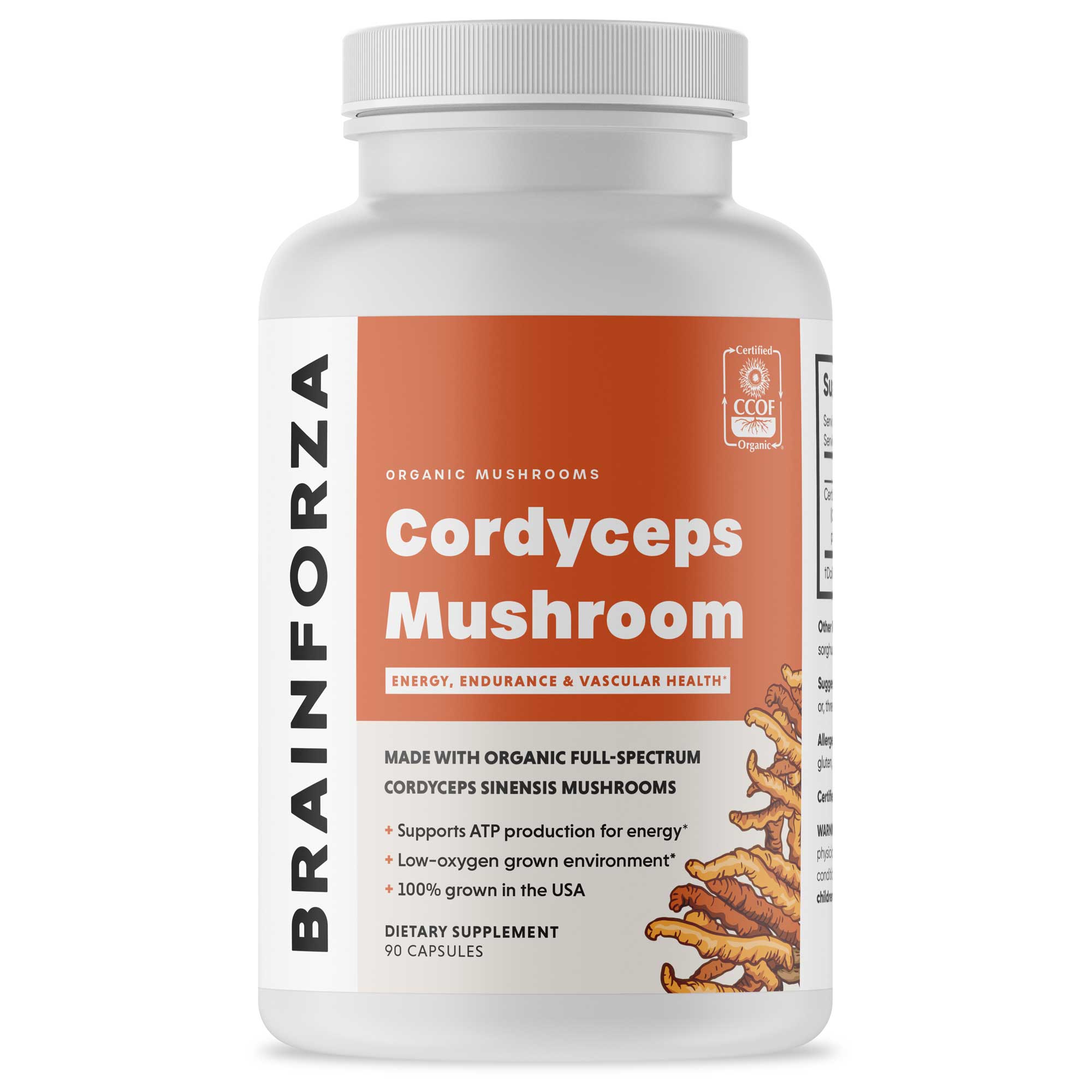 Organic Cordyceps Mushroom, 90 Capsules by Brain Forza®