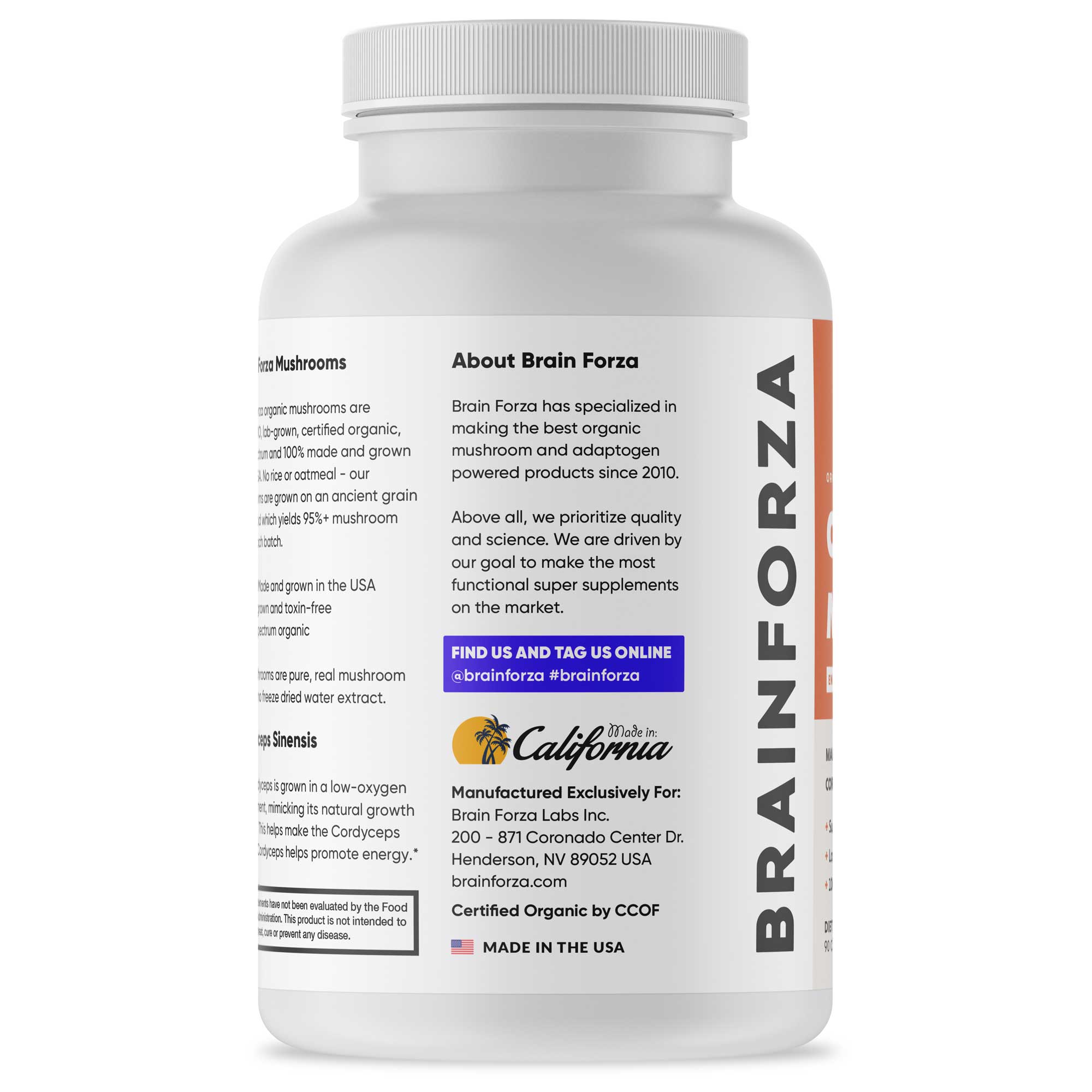 Organic Cordyceps Mushroom, 90 Capsules by Brain Forza®