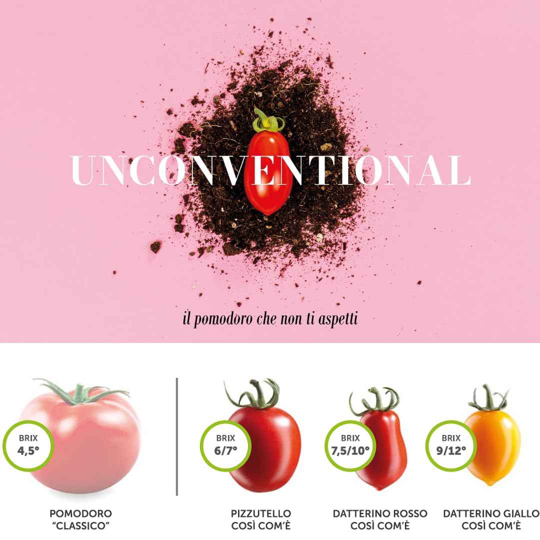 Così Comè Datterini Tomatoes in Juice – 12.3 oz (350 g)