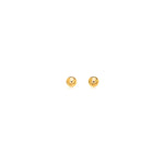 14k Yellow Gold Polished Round Stud Earrings(3mm) - earrings