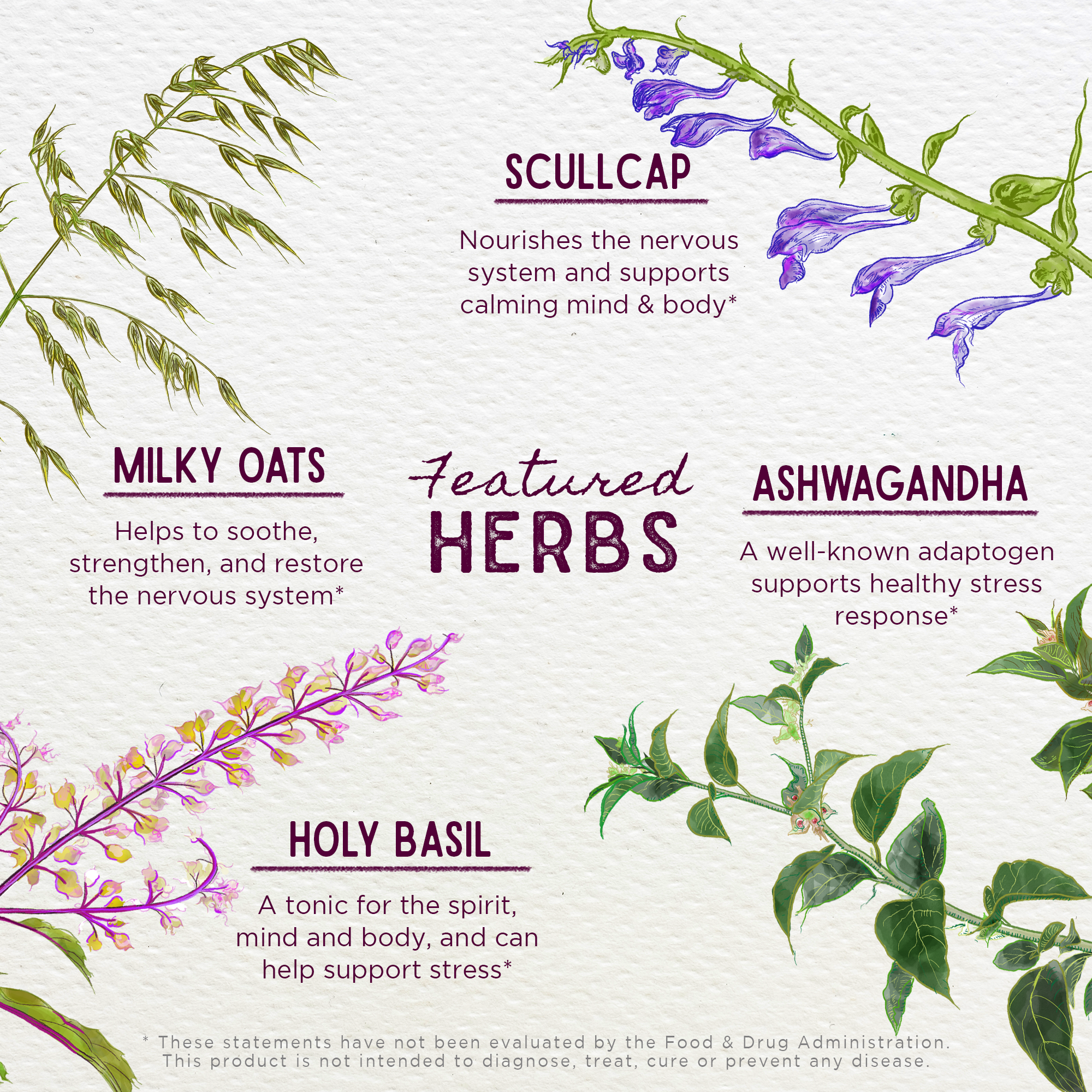 Deep Stress Daily Calm by WishGarden Herbs