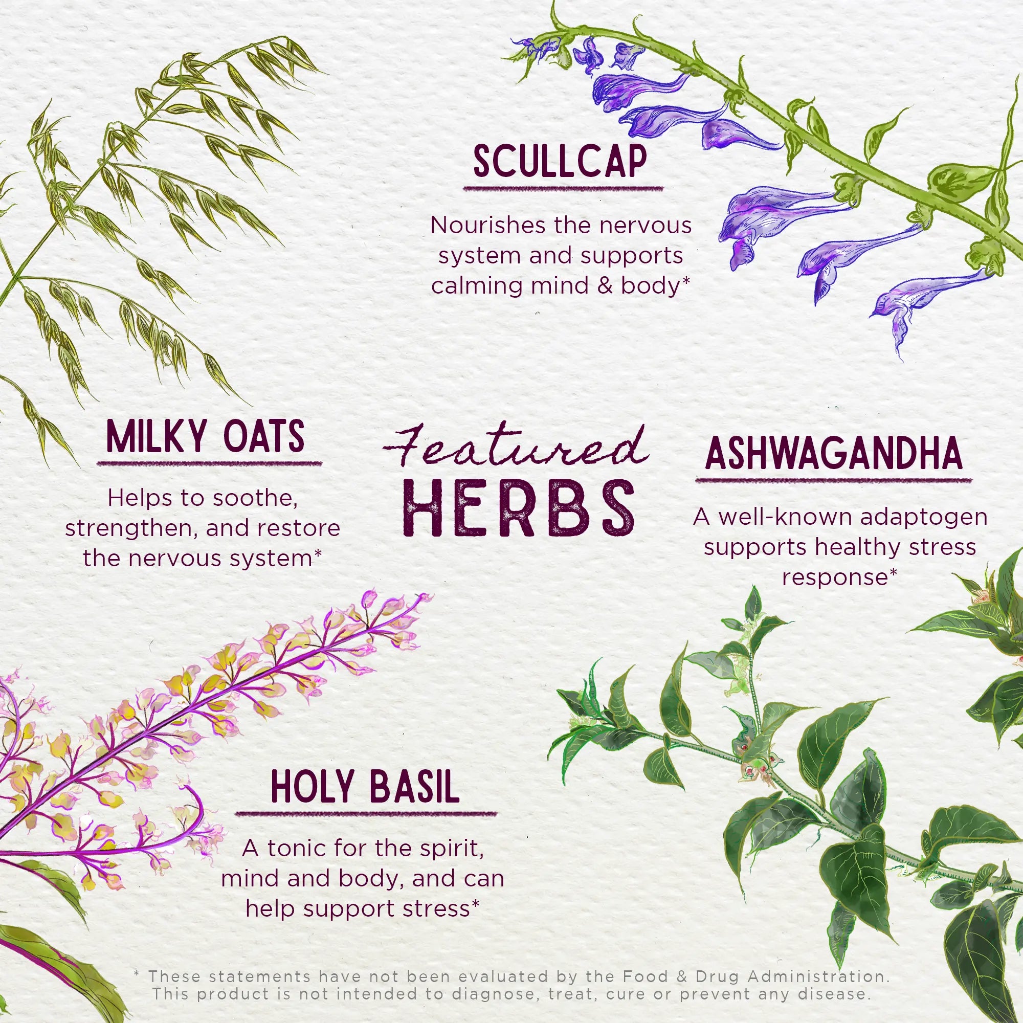 Deep Stress, Daily Calm by WishGarden Herbs