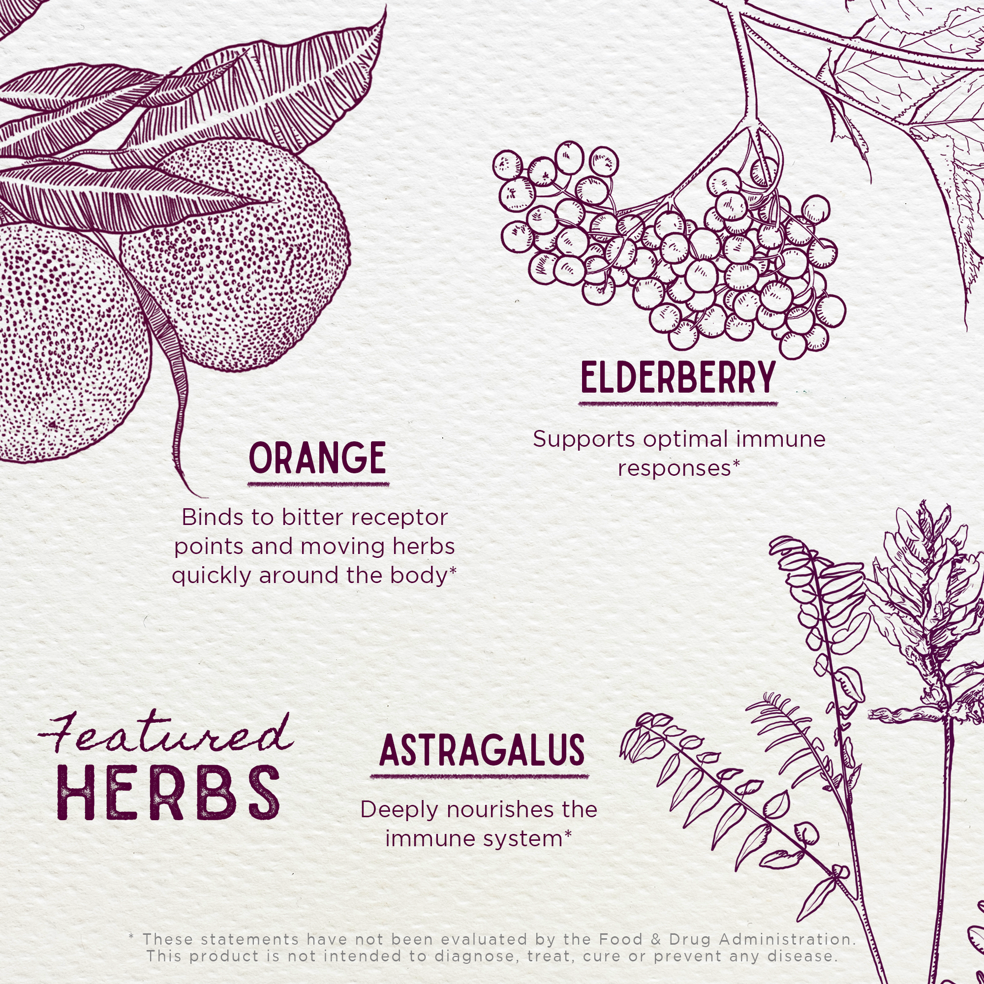 Elderberry Syrup Everyday Immunity for Kids by WishGarden Herbs