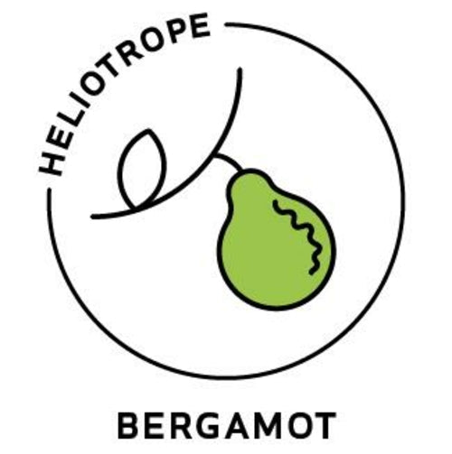 Bergamot Essential Oil - 100% Pure Organic Citrus Bergamia for Aromatherapy