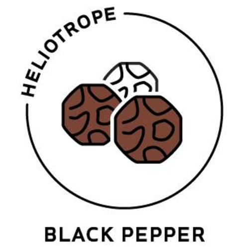 Black Pepper Essential Oil - 100% Pure Organic Piper Nigrum for Aromatherapy
