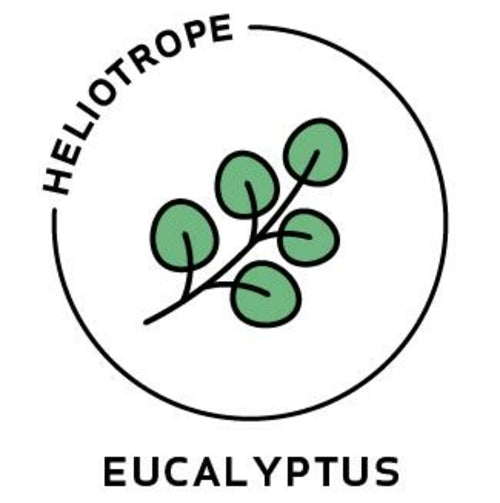 Eucalyptus Essential Oil - 100% Pure Organic Eucalyptus Radiata for Aromatherapy