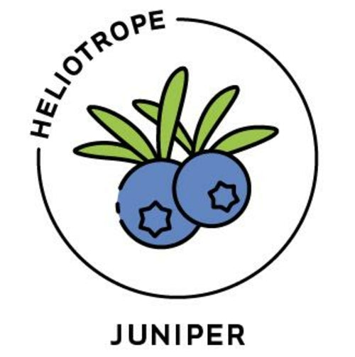 Juniper Essential Oil - 100% Pure Organic Juniperus Communis for Aromatherapy