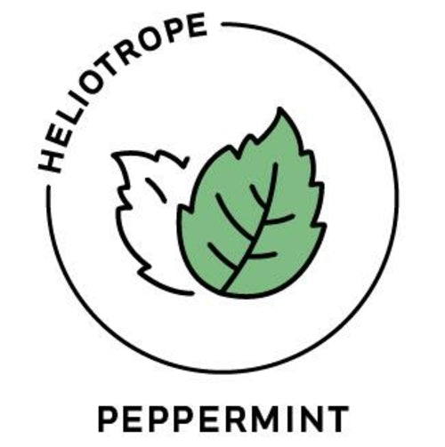 Peppermint Essential Oil - 100% Pure Organic Mentha Piperita for Aromatherapy