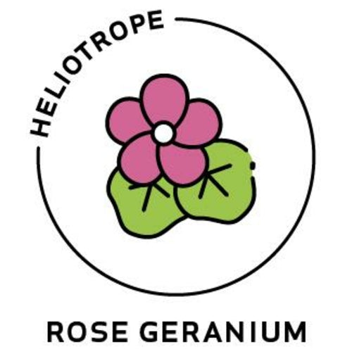 Rose Geranium Essential Oil - 100% Pure Organic Pelargonium Graveolens