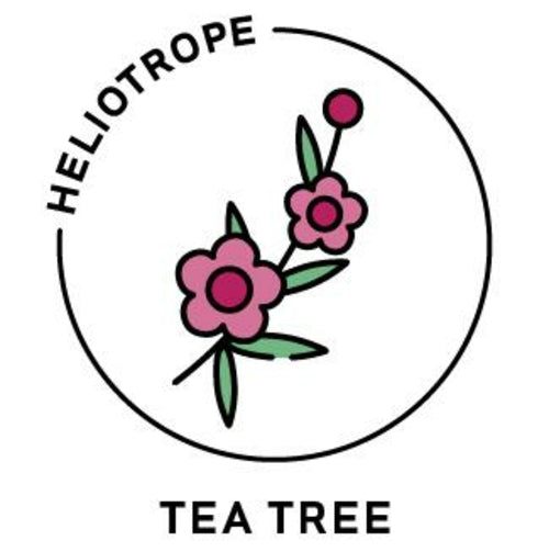 Tea Tree Essential Oil - 100% Pure Organic Melaleuca Alternifolia for Aromatherapy