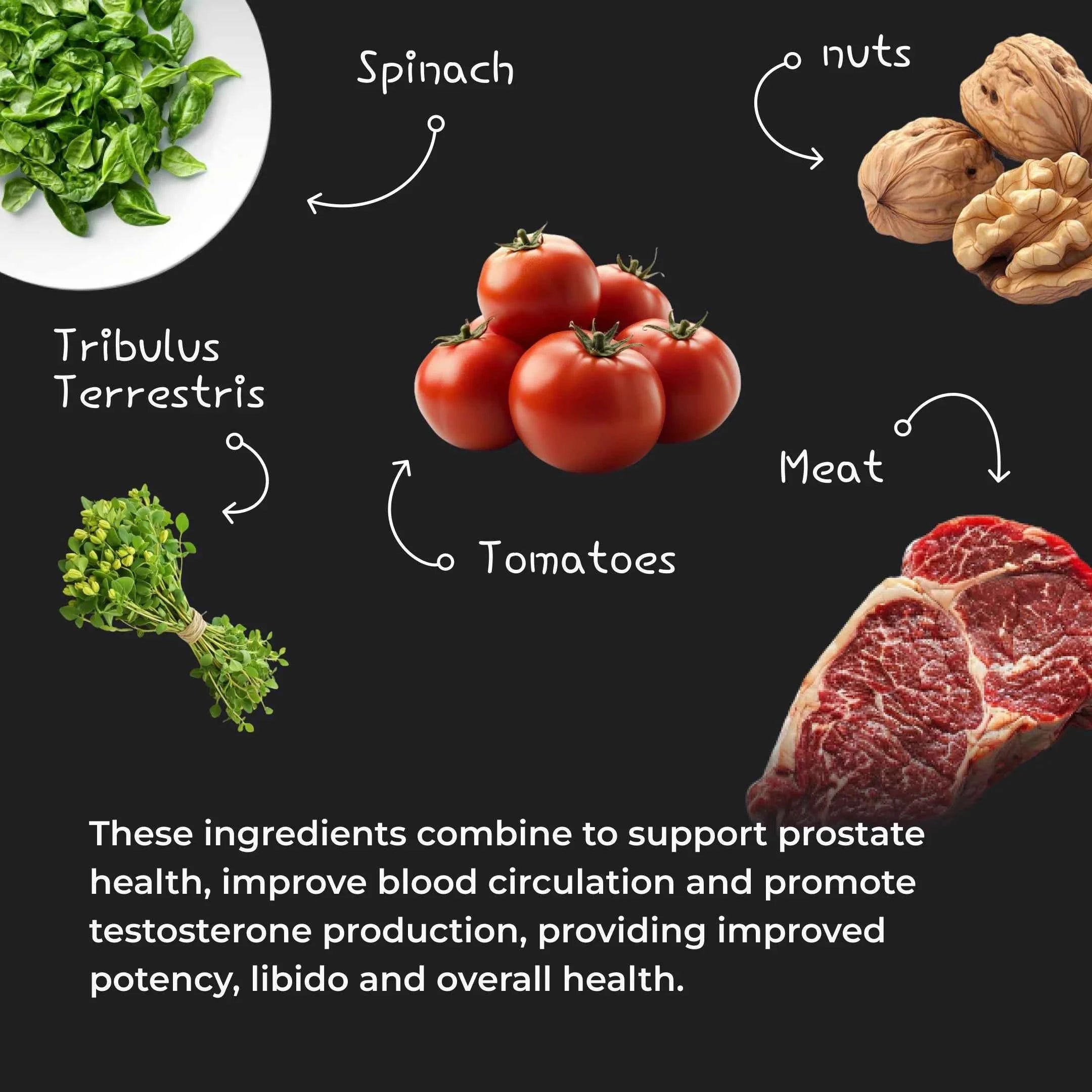 ERECTONINMD Testosterone