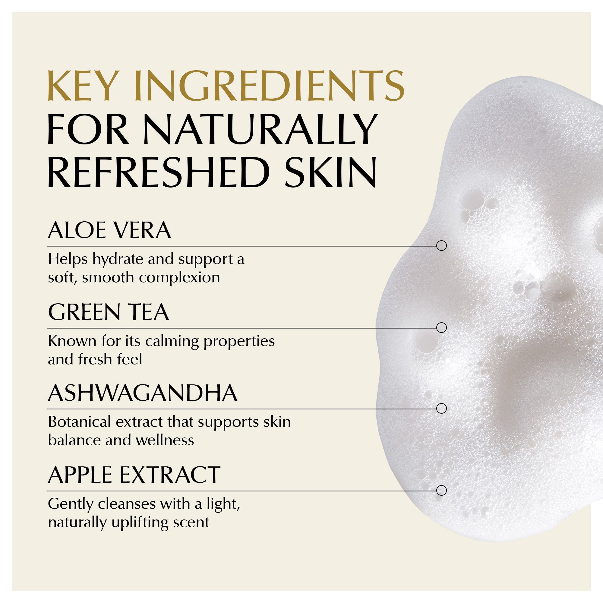 Gentle Foaming Facial Cleanser – Aloe, Apple & Ashwagandha for All Skin Types by EpiLynx