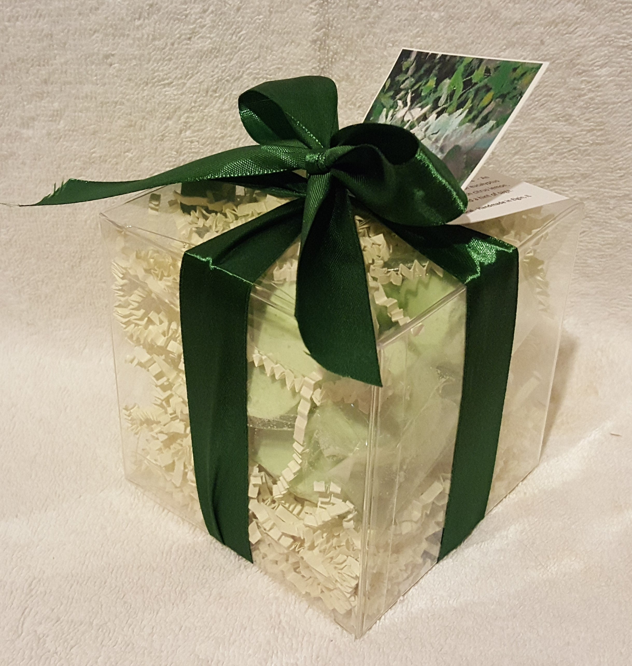 Eucalyptus & Spearmint 14-pack Bath Bomb Gift Set by Spa Pure