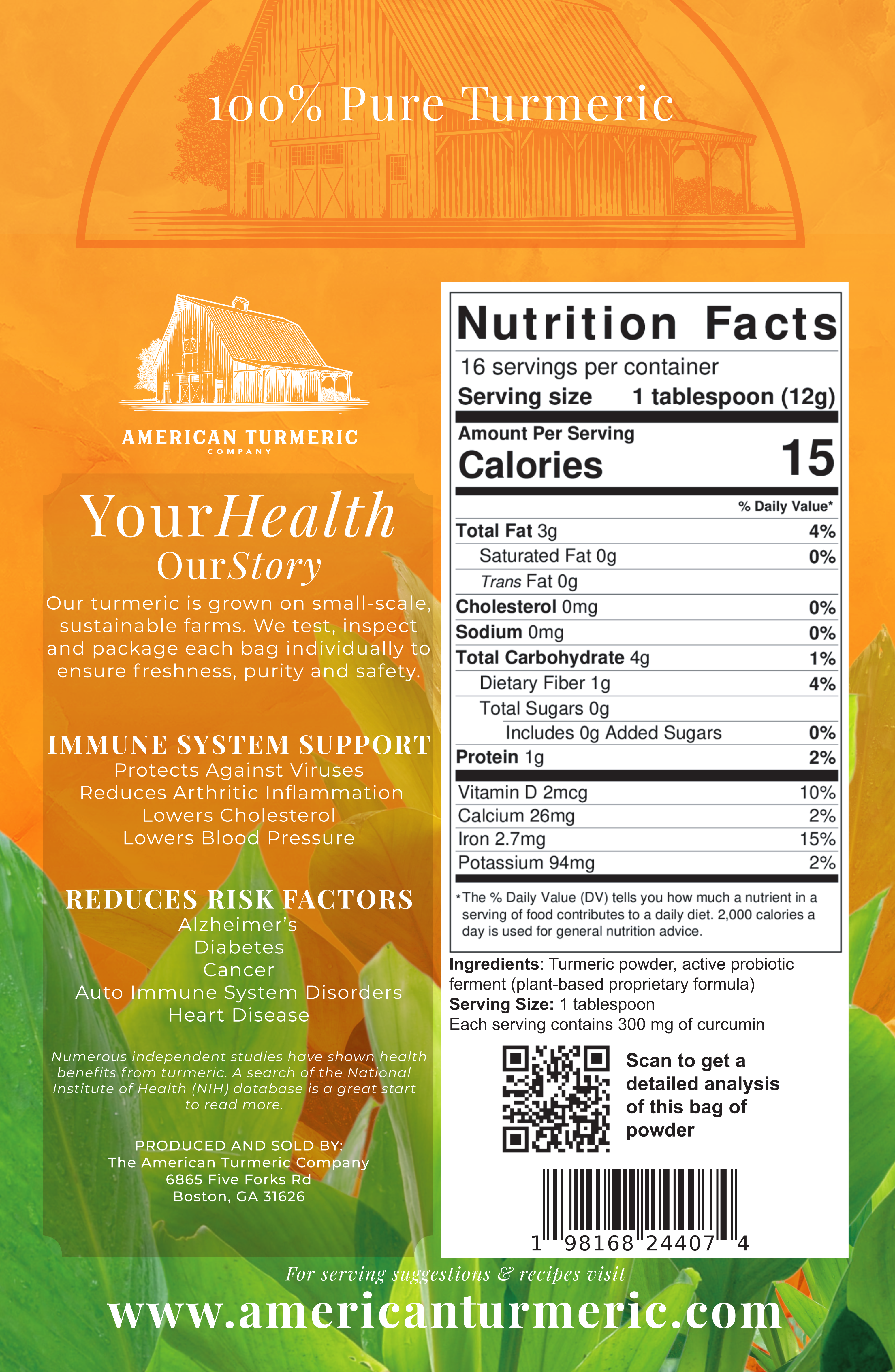 Fermented Turmeric & Ginger Powder Bundle – Synergistic Clean Wellness