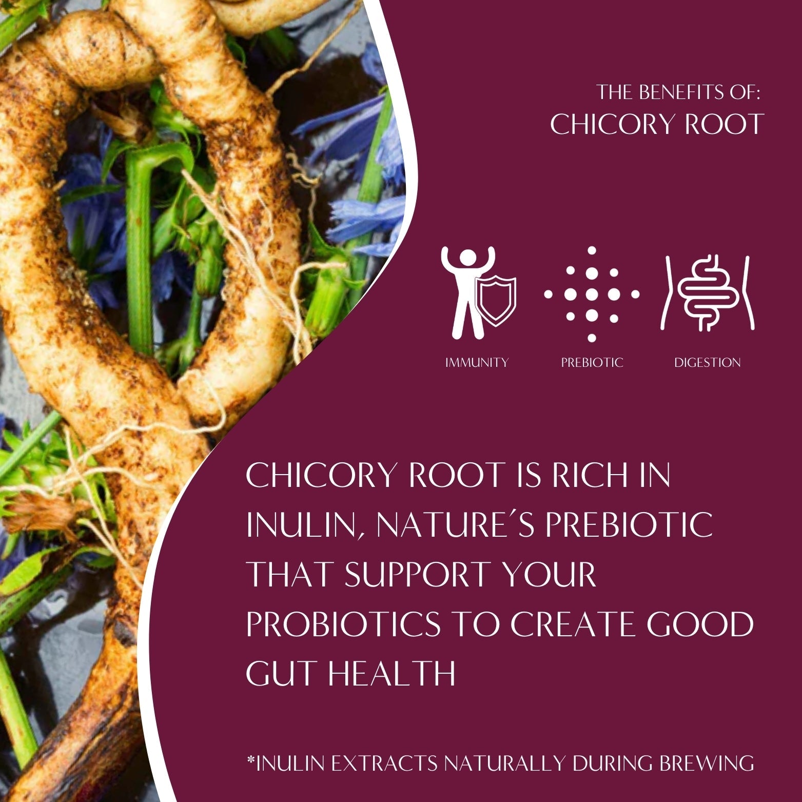 Almond Amaretto Chicory Herbal Coffee