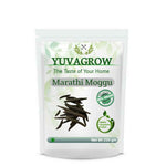 Yuvagrow Marathi Moggu (Kapak Buds)