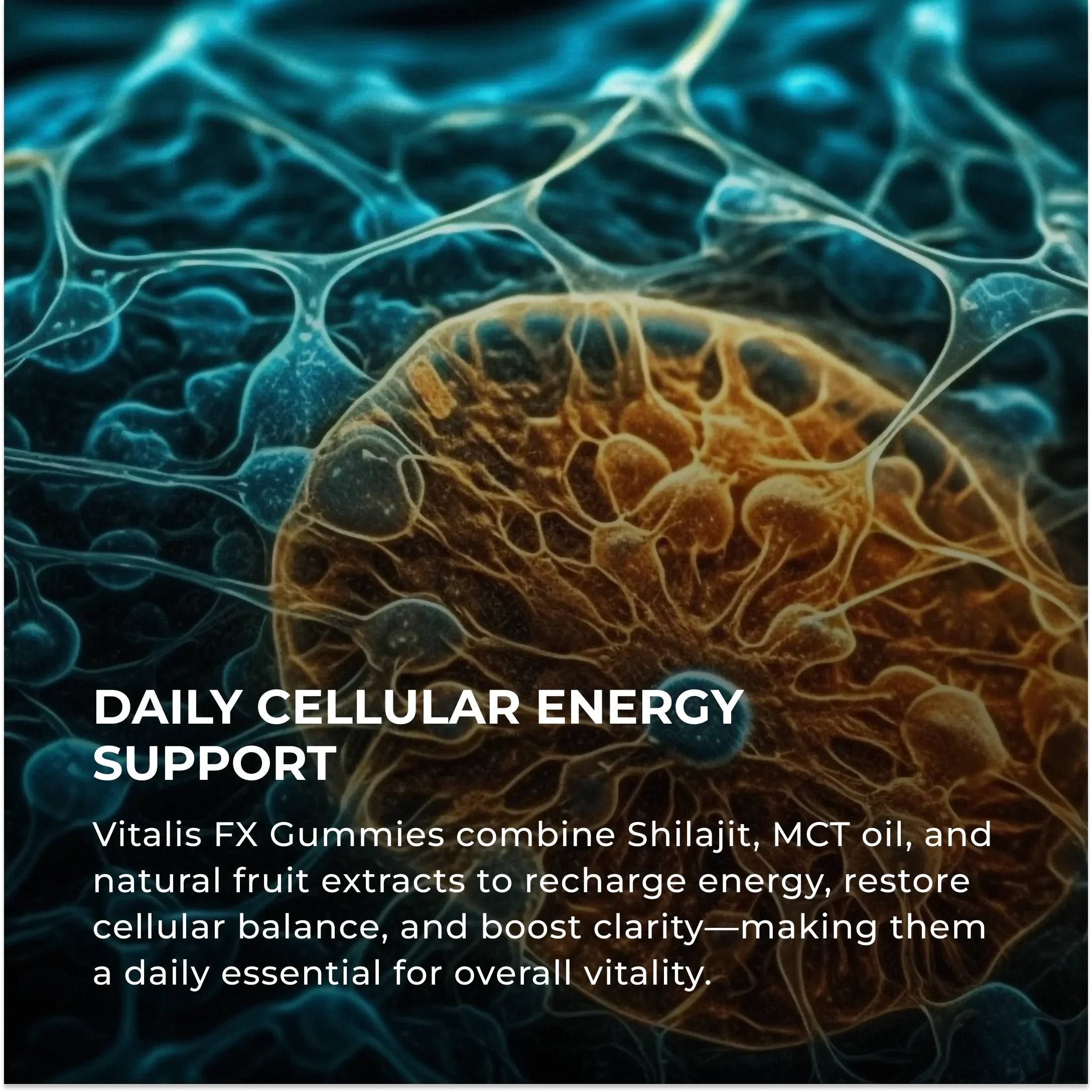 Elements Lab Vitalis FX by RevitMe - Supplements Store