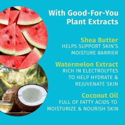 Hempz Moisturizing Body Lotion Fresh Coconut & Watermelon 17 fl oz - New