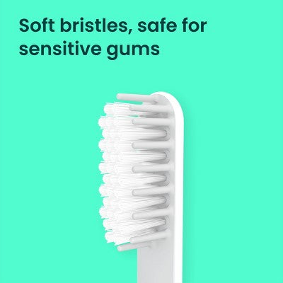 quip Sonic Brush Head Refill 2ct - Imperfect Box by This is Beauty US