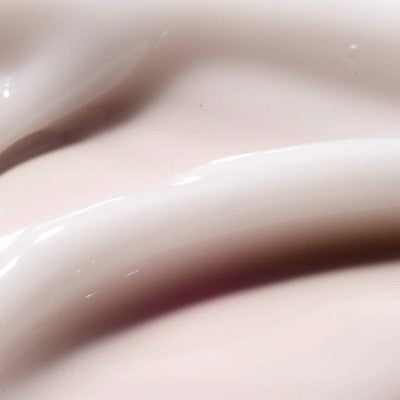 The Face Shop Rice Water Bright Vegan Cream 1.69 fl oz - New - DestGlow