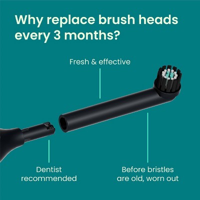 quip Rev Oscillating Brush Head Refill White 2pk - Imperfect Box by This is Beauty US