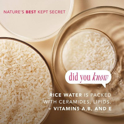 The Face Shop Rice Water Bright Vegan Cream 1.69 fl oz - New - DestGlow