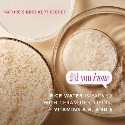 The Face Shop Rice Water Bright Vegan Cream 1.69 fl oz - New