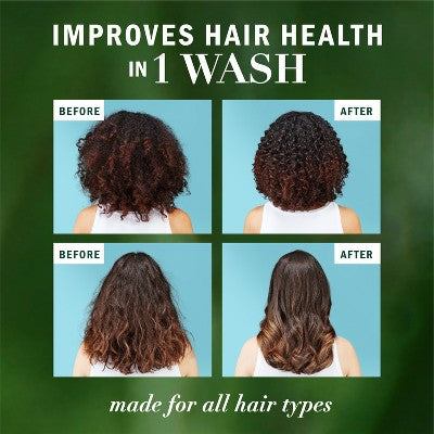 Herbal Essences Pure Plants Blend Argan Oil Repairing Color-Safe Shampoo/Conditioner Dual Pack 13.5 fl oz/2ct - Imperfect Box by This is Beauty US