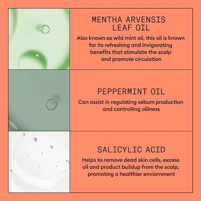 Nioxin System 4 Shampoo Cleanser 10.1 fl oz - New