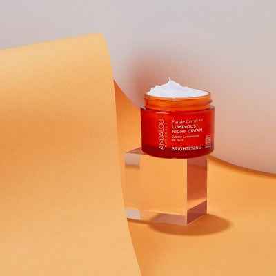 Andalou Naturals Purple Carrot and Vitamin C Luminous Night Cream 1.7oz - New