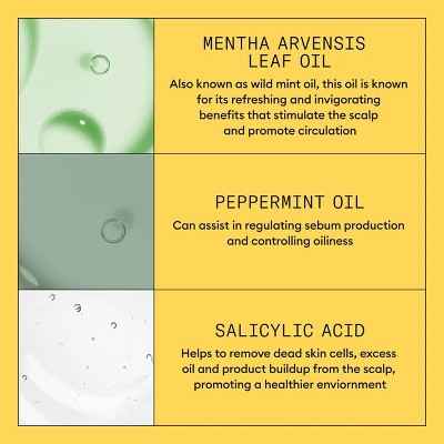 Nioxin System 1 Shampoo Cleanser 10.1 fl oz - New