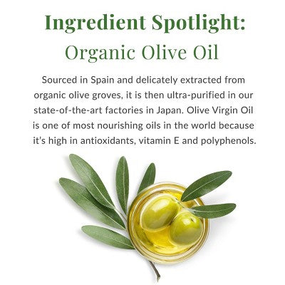 DHC Olive Virgin Oil Essential Moisturizing Cream 1.7 fl oz - Imperfect Box by This is Beauty US