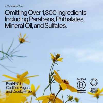 Eva NYC Bounce Back Curl Reviving Mist 5 fl oz - New