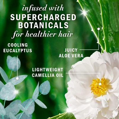 Herbal Essences Eucalyptus Sulfate Free Shampoo, For Dry Scalp 13.5 fl oz - Imperfect Container by This is Beauty US