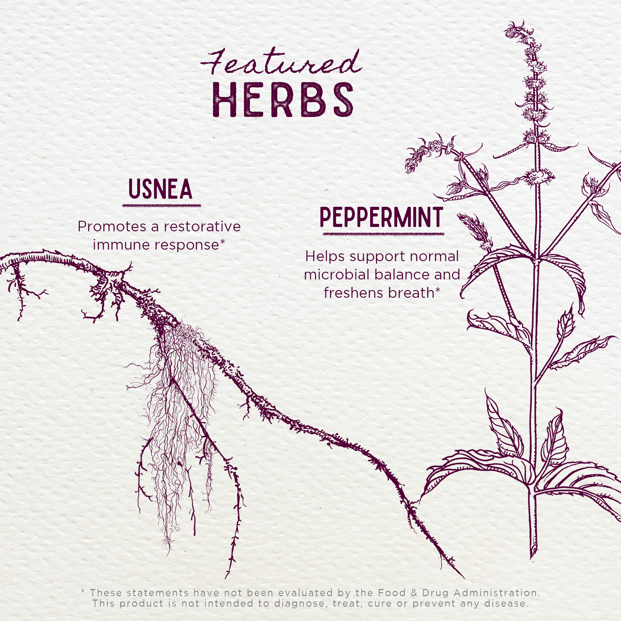 Gum Strength, Oral Health Aid DestGlow