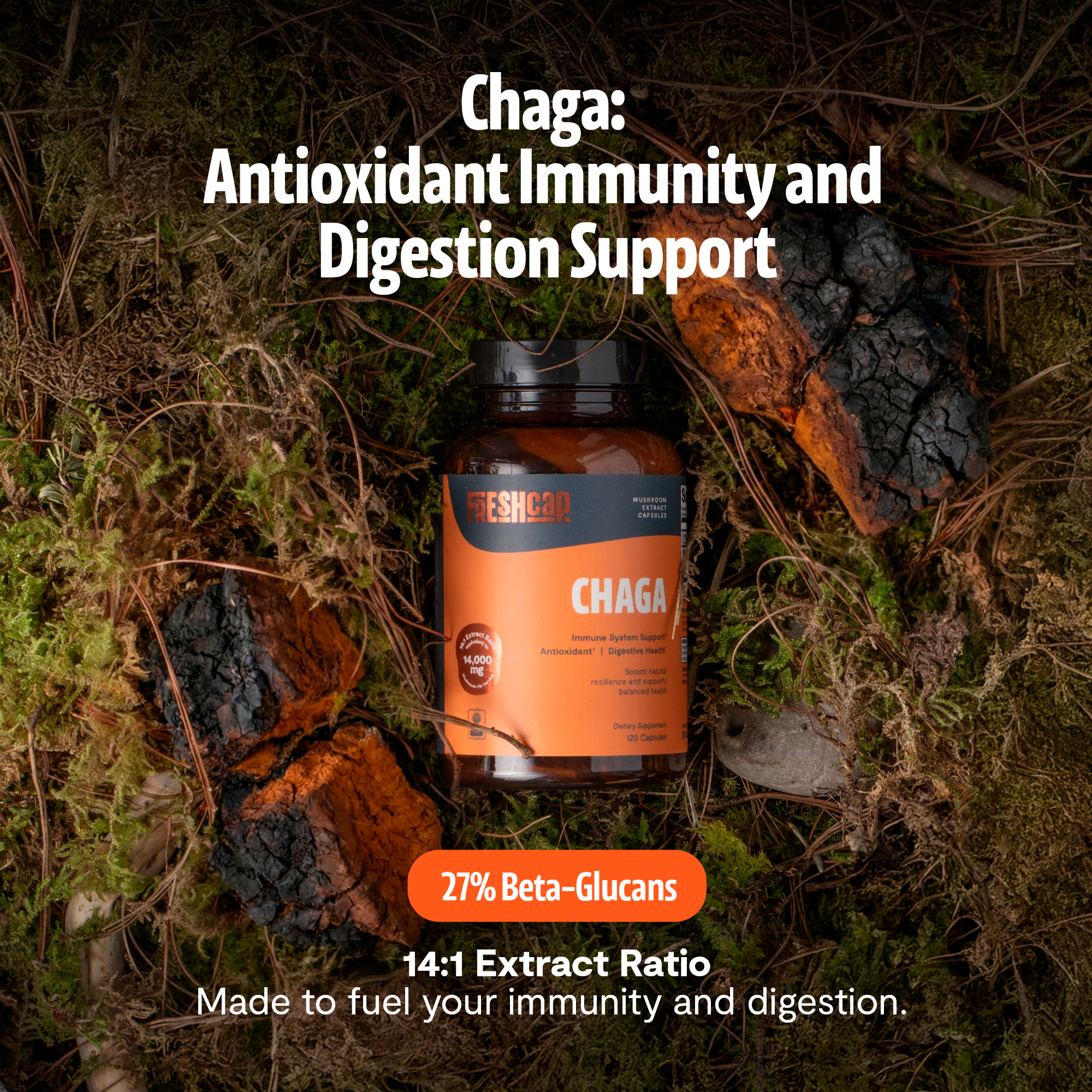 Chaga Mushroom Extract Capsules DestGlow