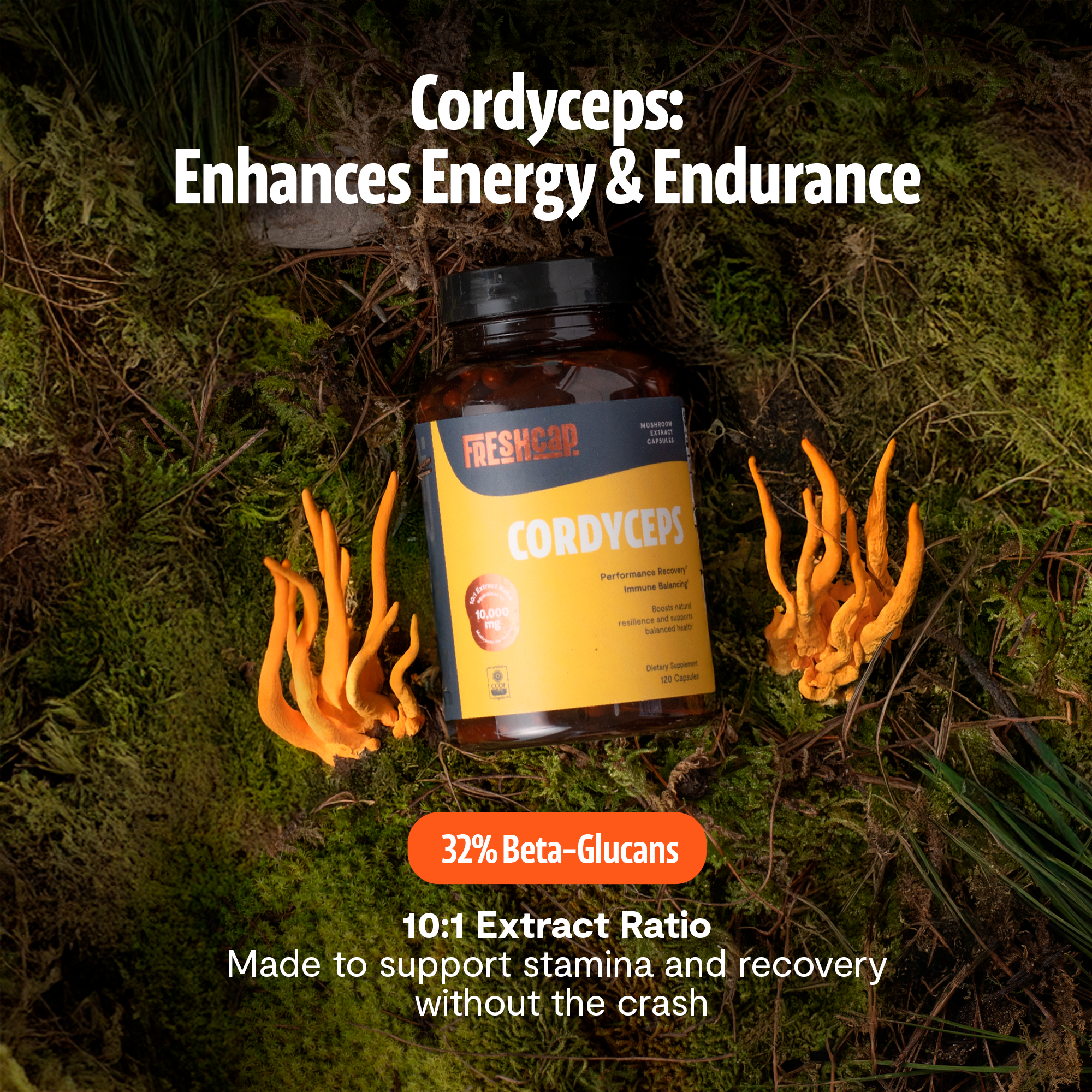 Organic Cordyceps Mushroom Supplement Capsules by FreshCap Mushrooms