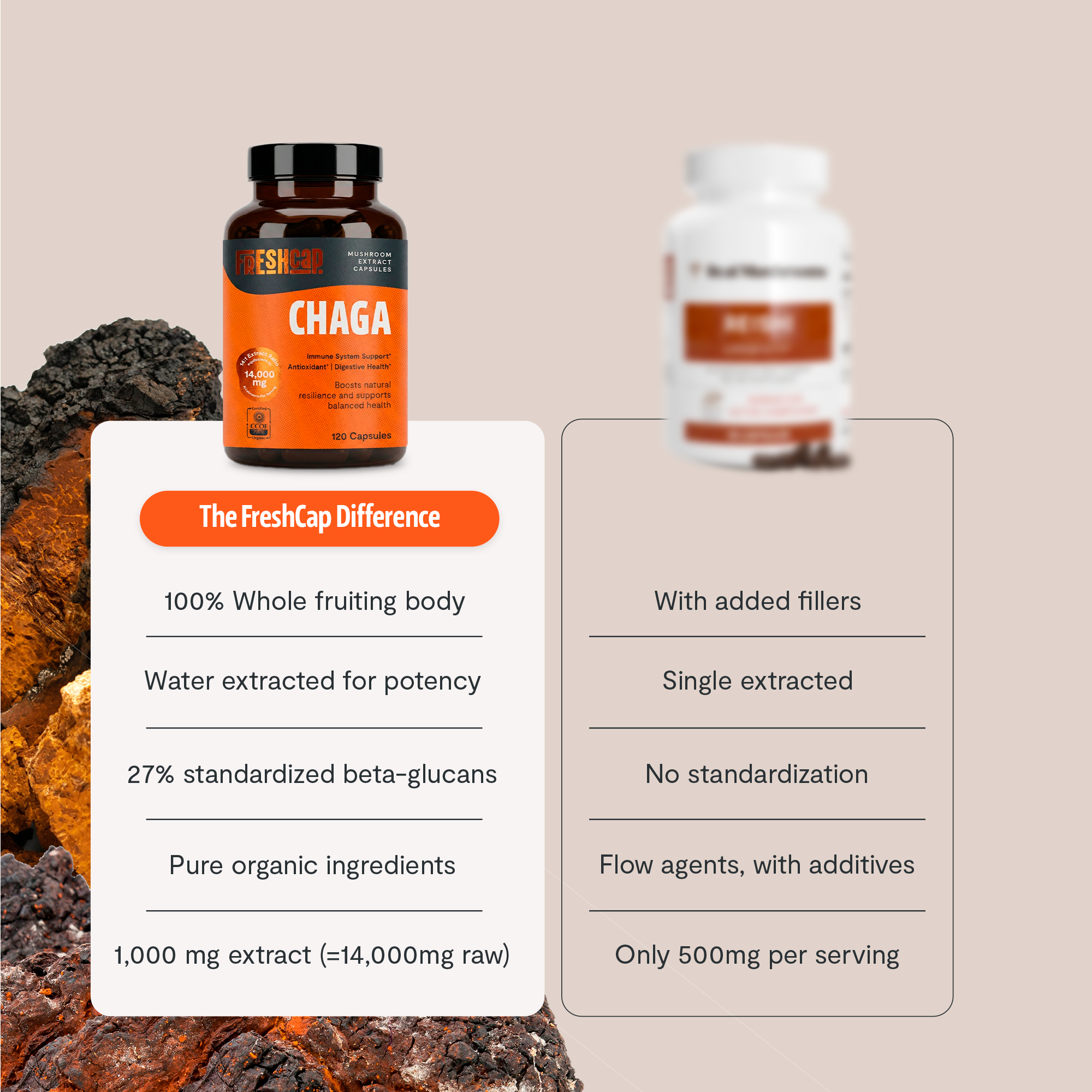 Chaga Mushroom Extract Capsules DestGlow