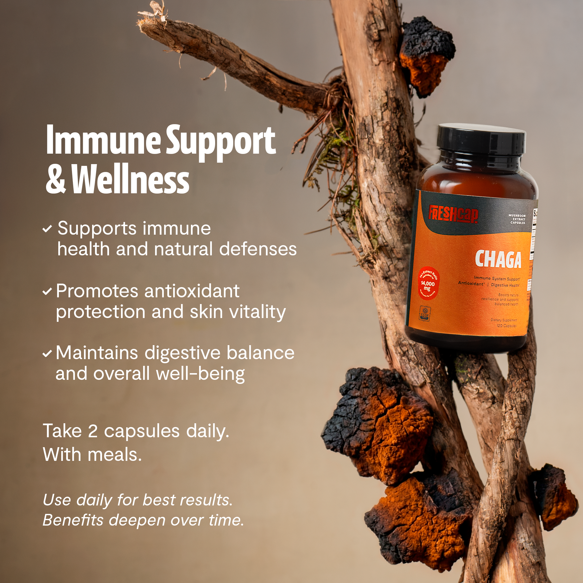 Chaga Mushroom Extract Capsules DestGlow