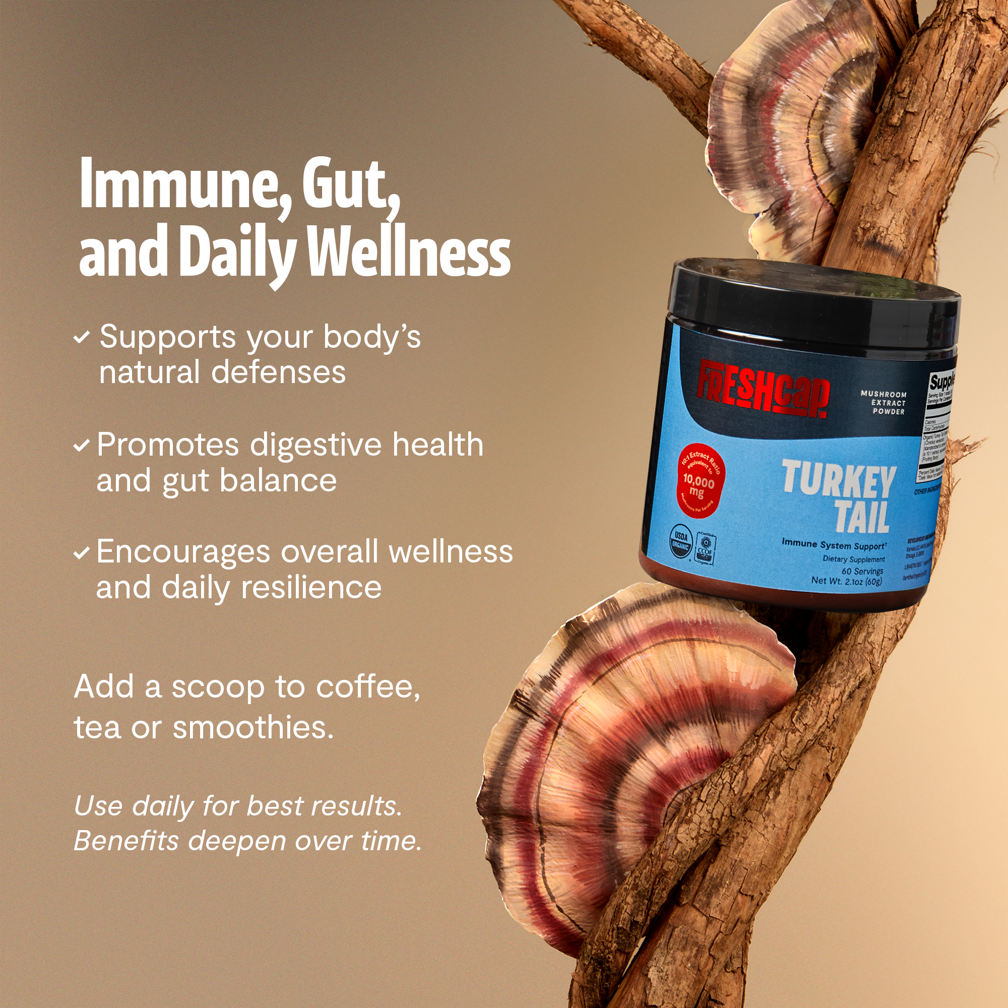 Turkey Tail Mushroom Extract Powder by FreshCap Mushrooms