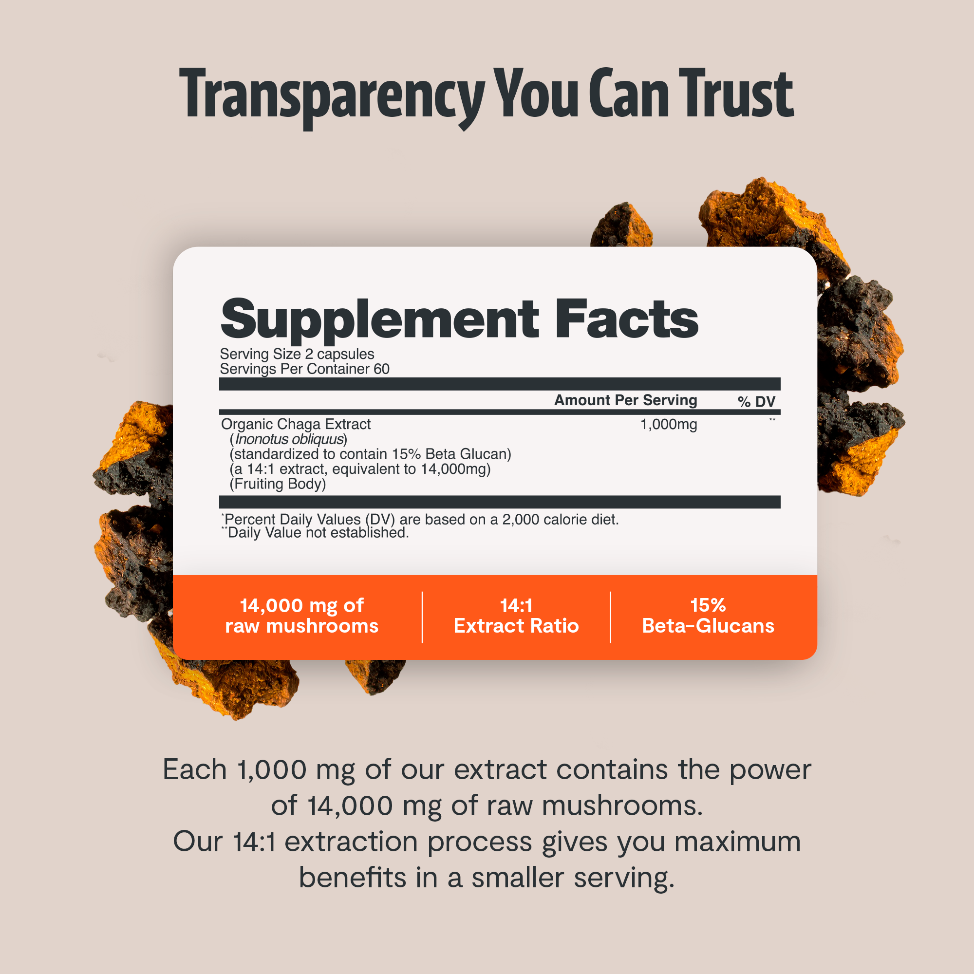 Chaga Mushroom Extract Capsules DestGlow